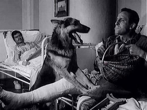 Four Tank-Men and a Dog Season 1 Episode 6 - Most