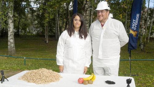 1 mot Sverige Season 1 Episode 3 - Episode 3