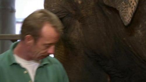 Was ist Was TV Season 2 Episode 2 - In the Zoo