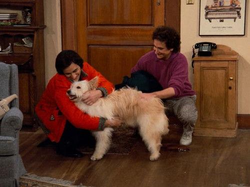 Perfect Strangers Season 2 Episode 12 - Dog Gone Blues