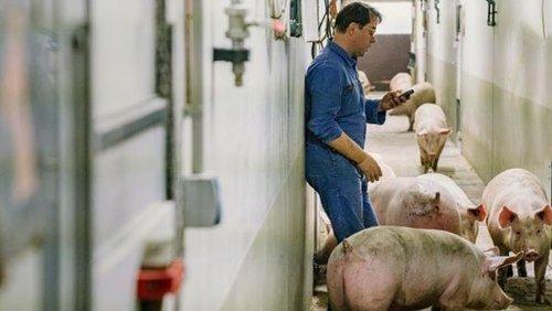 Arthur's Law Season 1 Episode 4 - Episode 4