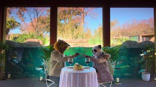 Sexy Beasts Season 1 Episode 3 - Kariselle the Panda