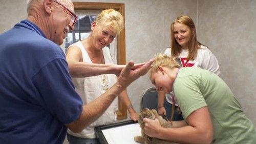 The Incredible Dr. Pol Season 15 Episode 3 - Pol-iver's Travels