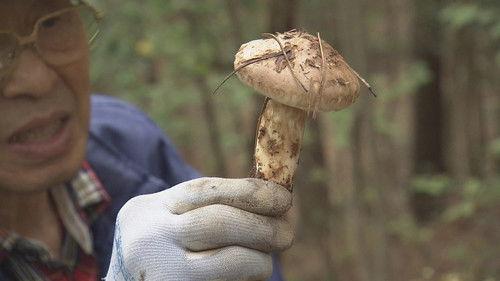 Shin Nihon Fudoki Season 7 Episode 25 - Episode 25