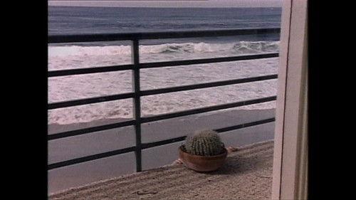 Renegade Season 2 Episode 18 - Once Burned, Twice Chey