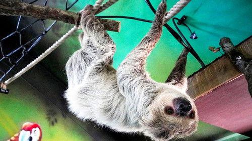 Animal Park Season 20 Episode 15 - Summer 2022: Episode 15