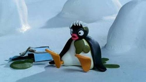 Pingu Season 5 Episode 19 - Stinky Pingu