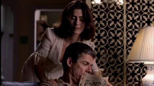 A Vida Como Ela É... Season 1 Episode 33 - Episode 33