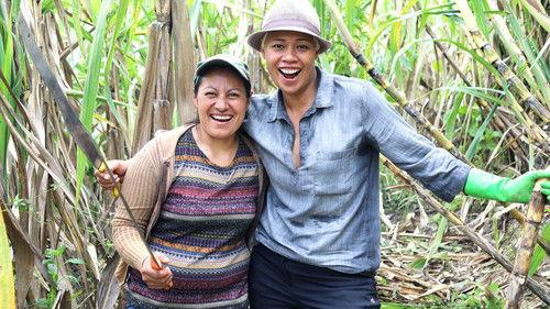 Amazing Hotels: Life Beyond the Lobby Season 1 Episode 2 - Mashpi Lodge, Ecuador