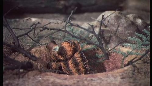 Jája and Pája Season 1 Episode 1 - How they planted a pig's tail