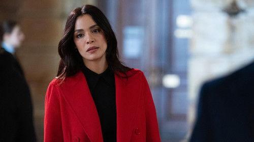 Law & Order Season 25 Episode 11 - The Enemy of All Women