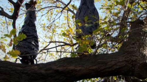 Rush Season 2 Episode 15 - Episode 15