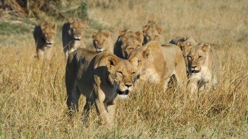 Background image for The Rebellion