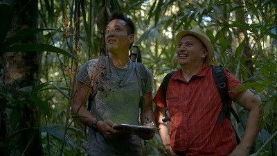 Lost Treasures of the Maya Season 1 Episode 4 - Secrets of the Lost City