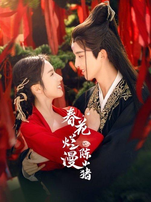 春花烂漫陈小猪 poster