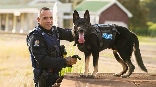 Dog Squad Season 14 Episode 8 - Episode 8