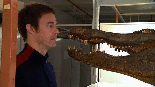 Stories from the Vaults Season 1 Episode 1 - Famous Donors