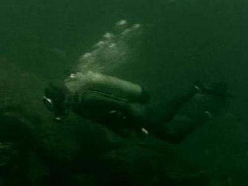 Skippy the Bush Kangaroo Season 1 Episode 8 - The Marine Biologist