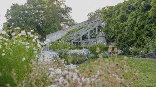 The Garden Chronicles Season 1 Episode 8 - Andalusia