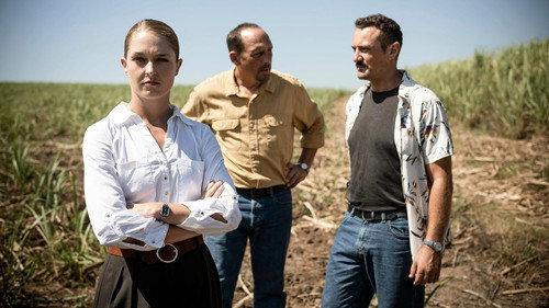 Catch Me a Killer Season 1 Episode 8 - The Phoenix Strangler (1)