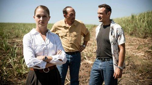 Background image for The Phoenix Strangler (1)