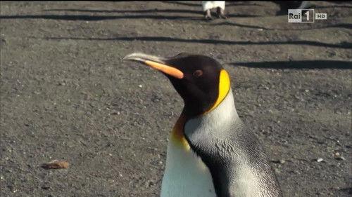 Superquark Season 21 Episode 8 - Episode 8