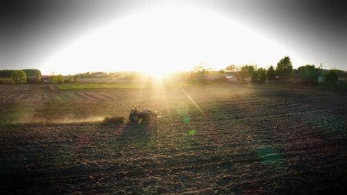 The Incredible Pol Farm Season 1 Episode 4 - Ewe Gotta Be Kidding Me