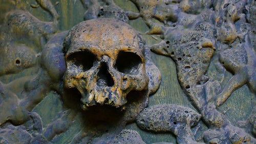 What on Earth? Season 4 Episode 14 - Cannibals in the Ghost City