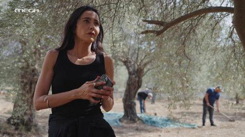 Olive Land Season 5 Episode 15 - Episode 15