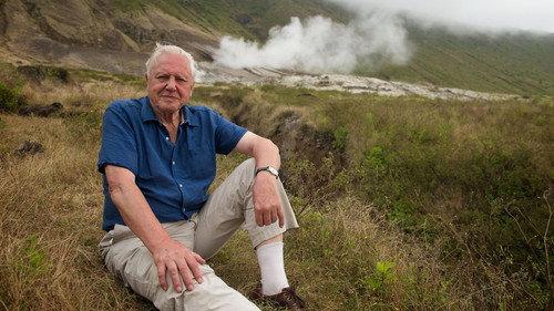 Nature Season 43 Episode 5 - Attenborough’s Life Journey