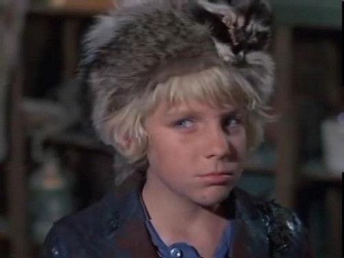 Daniel Boone Season 5 Episode 12 - Minnow for a Shark