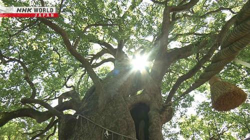 Hometown Stories Season 14 Episode 19 - The Future of an A-bombed Shrine