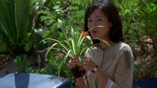 Lost Season 1 Episode 6 - House of the Rising Sun