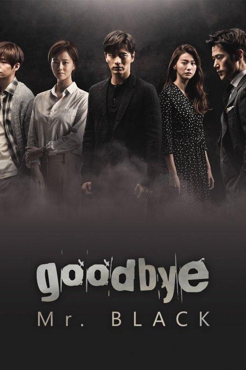 Goodbye Mr. Black poster
