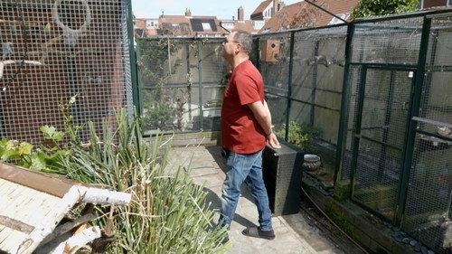 Mr. Frank Visser doet Uitspraak Season 8 Episode 11 - Episode 11