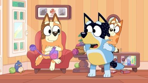Bluey Minisodes Season 1 Episode 16 - Where's Bingo?