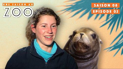 Une saison au zoo Season 8 Episode 2 - Episode 2