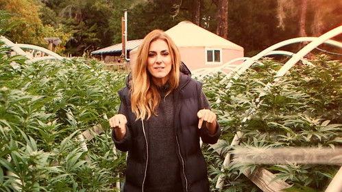 En el punto de mira Season 7 Episode 12 - Episode 12