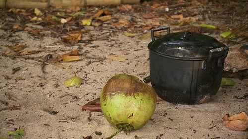 Robinson Season 27 Episode 11 - Episode 11