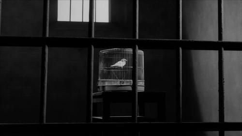 Ultra Q Season 1 Episode 12 - I Saw a Bird