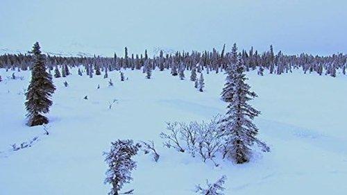 Mountain Men Season 5 Episode 1 - The Wasteland