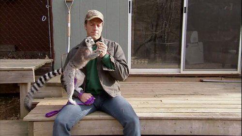 Dirty Jobs Season 3 Episode 17 - Exotic Animal Keeper
