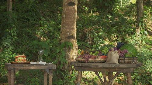 Robinson Season 27 Episode 13 - Episode 13