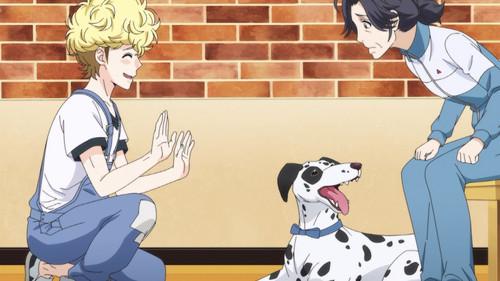 Dog Signal Season 1 Episode 8 - Exclusive