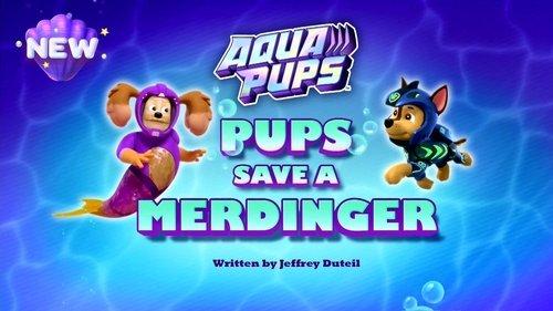 PAW Patrol Season 9 Episode 23 - Aqua Pups: Pups Save a Merdinger