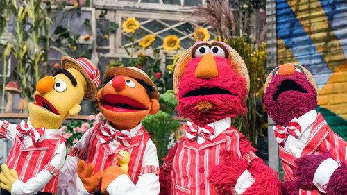 Sesame Street Season 54 Episode 11 - Sesame Street Song Day