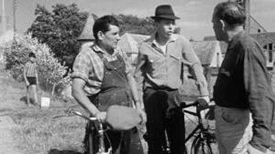 Poly Season 1 Episode 8 - Episode 8