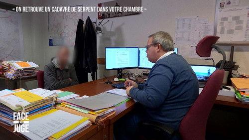 Face au juge Season 9 Episode 6 - Episode 6