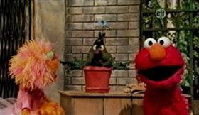 Sesame Street Season 40 Episode 8 - Stinky's Annual Birthday Flower