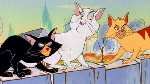 Beethoven Season 1 Episode 9 - Cat Fight